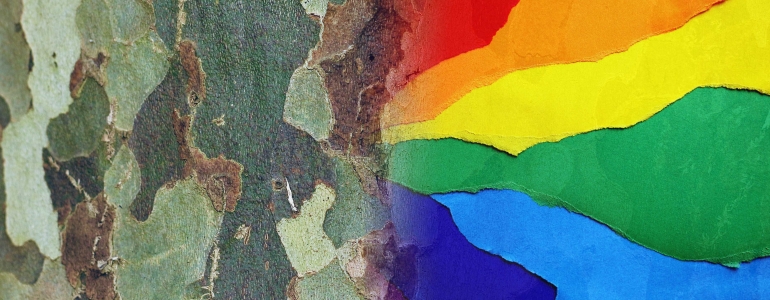 Why Do They Need Marriage? The Rights That LGBT Military Do not Have