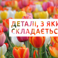 Теми-2019 на «Гендер в деталях»: що ми зробили, чого хочемо і як цього досягнемо?